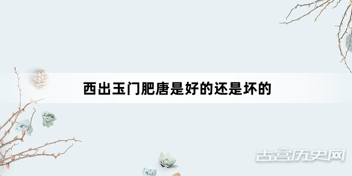 西出玉门肥唐是好的还是坏的