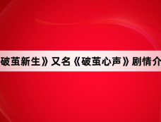 《破茧新生》又名《破茧心声》剧情介绍