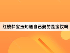 红楼梦宝玉知道自己娶的是宝钗吗