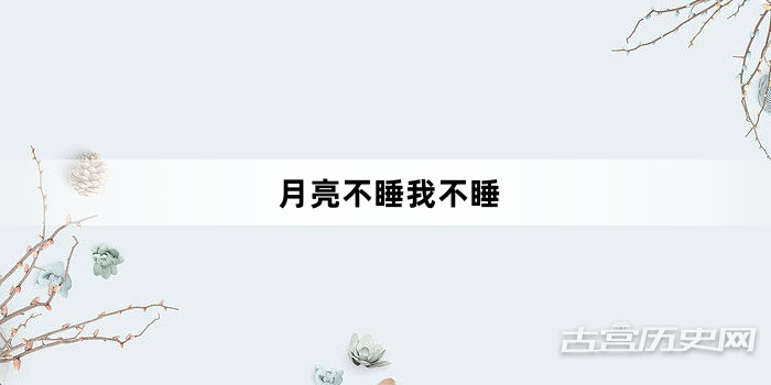 “月亮不睡我不睡”网络梗词解释