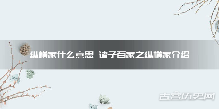 纵横家什么意思 诸子百家之纵横家介绍