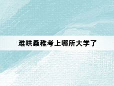 难哄桑稚考上哪所大学了
