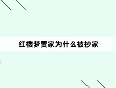 红楼梦贾家为什么被抄家
