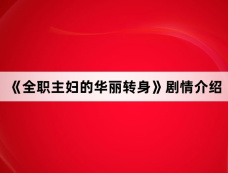 《全职主妇的华丽转身》剧情介绍