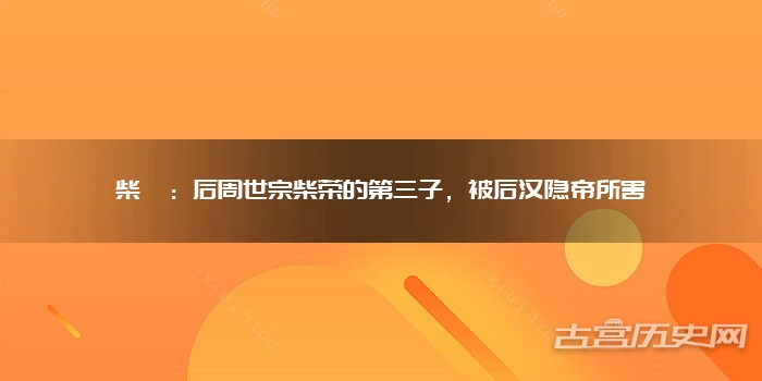 柴諴：后周世宗柴荣的第三子，被后汉隐帝所害