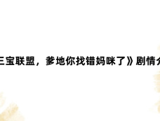 《三宝联盟,爹地你找错妈咪了》剧情介绍