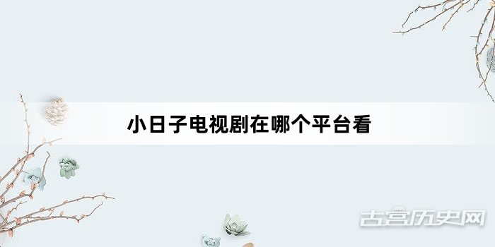 小日子电视剧在哪个平台看