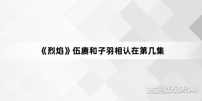 《烈焰》伍赓和子羽相认在第几集