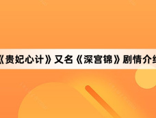 《贵妃心计》又名《深宫锦》剧情介绍