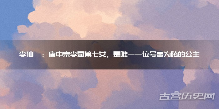 李仙蕙：唐中宗李显第七女，是唯一一位号墓为陵的公主