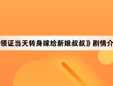 《领证当天转身嫁给新娘叔叔》剧情介绍