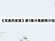 《完美的家族》第5集分集剧情介绍