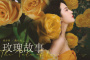 《玫瑰的故事》第22集分集剧情介绍