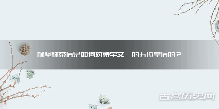 杨坚称帝后是如何对待宇文赟的五位皇后的？