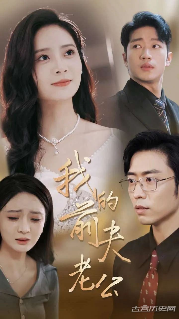 《我的前夫老公》剧情介绍