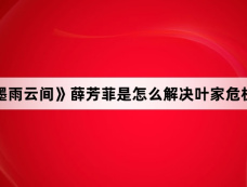 《墨雨云间》薛芳菲是怎么解决叶家危机的