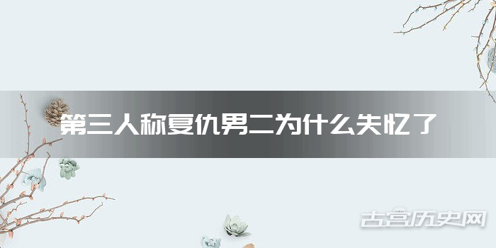 第三人称复仇男二为什么失忆了
