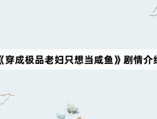 《穿成极品老妇只想当咸鱼》剧情介绍