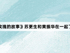 《玫瑰的故事》苏更生和黄振华在一起了吗