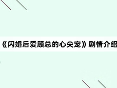 《闪婚后爱顾总的心尖宠》剧情介绍