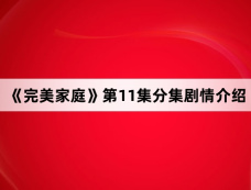 《完美家庭》第11集分集剧情介绍