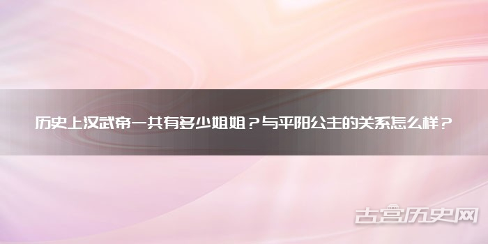 历史上汉武帝一共有多少姐姐？与平阳公主的关系怎么样？