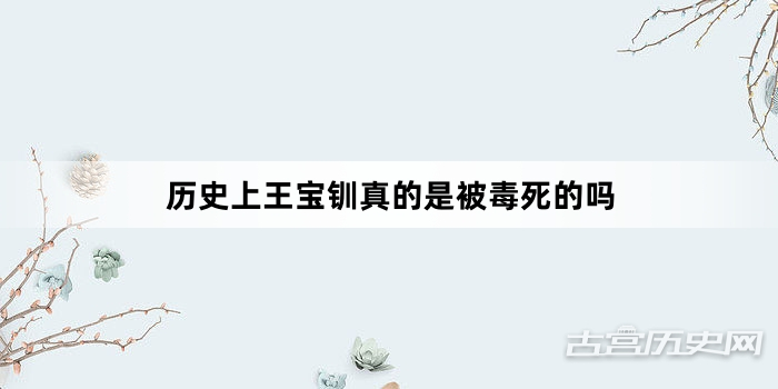 历史上王宝钏真的是被毒死的吗