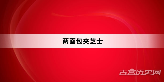 “两面包夹芝士”网络梗词解释