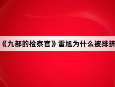 《九部的检察官》雷旭为什么被排挤