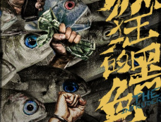 《疯狂的黑鱼》剧情介绍