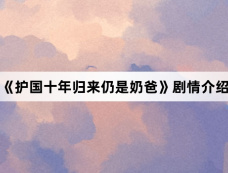 《护国十年归来仍是奶爸》剧情介绍