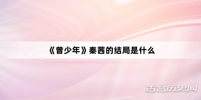 《曾少年》秦茜的结局是什么