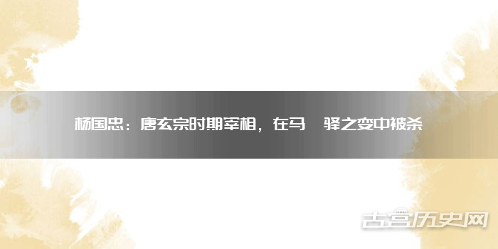 杨国忠：唐玄宗时期宰相，在马嵬驿之变中被杀