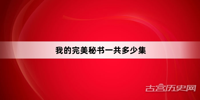 我的完美秘书一共多少集
