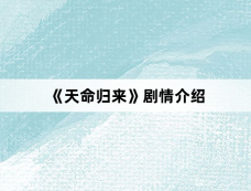 《天命归来》剧情介绍