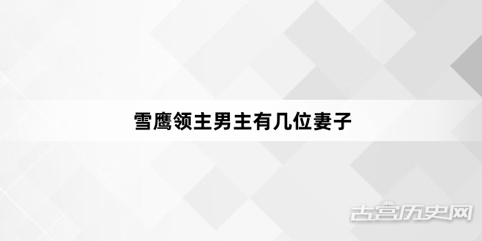 雪鹰领主男主有几位妻子