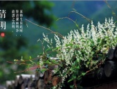 清明节气是什么意思