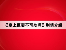 《皇上臣妻不可欺啊》剧情介绍