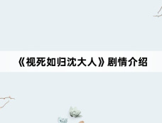 《视死如归沈大人》剧情介绍