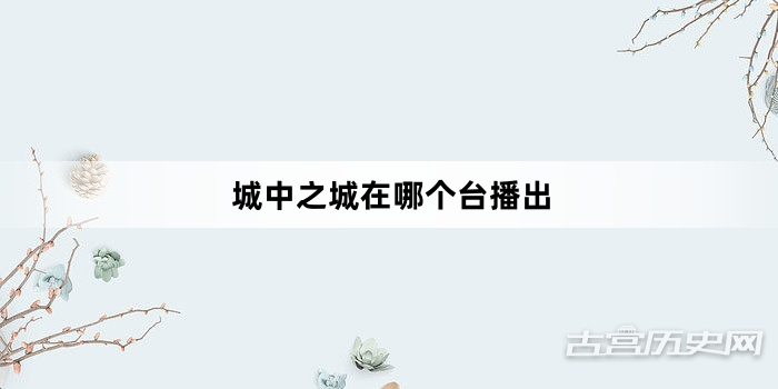城中之城在哪个台播出