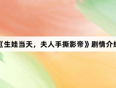 《生娃当天,夫人手撕影帝》剧情介绍