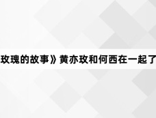 《玫瑰的故事》黄亦玫和何西在一起了吗