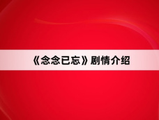 《念念已忘》剧情介绍