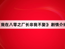 《我在八零之厂长非我不娶》 剧情介绍