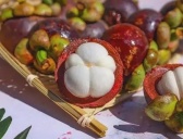 泰国特色水果介绍