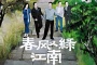《春风又绿江南岸》剧情介绍