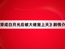 《穿成白月光后被大佬宠上天》剧情介绍