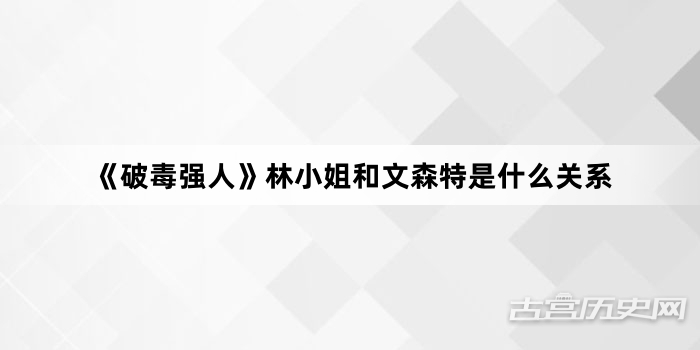 《破毒强人》林小姐和文森特是什么关系