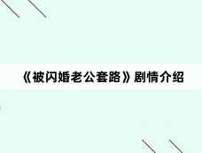 《被闪婚老公套路》剧情介绍