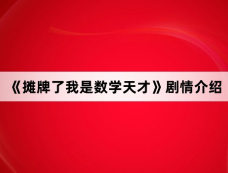 《摊牌了我是数学天才》剧情介绍